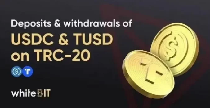 usdttrc20钱包怎么用？全方位了解usdttrc20钱包怎么用